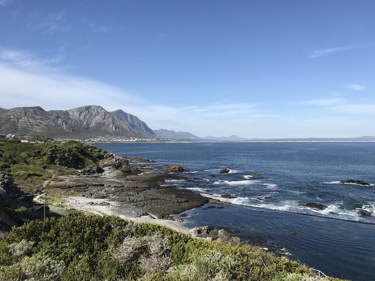 Francolin Manor Bed and Breakfast Hermanus Eksteriør billede