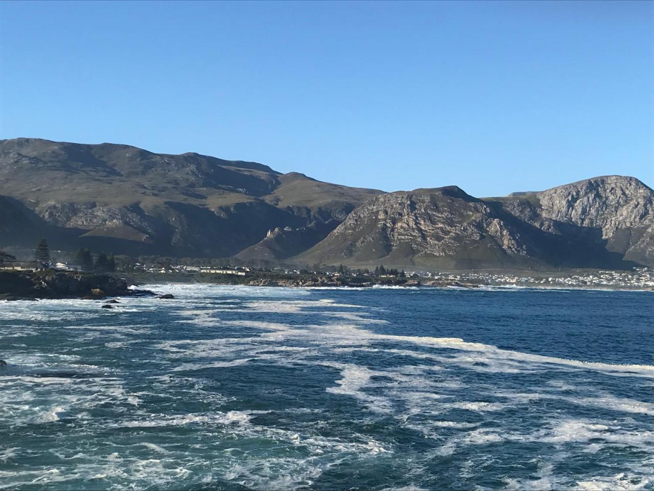 Francolin Manor Bed and Breakfast Hermanus Eksteriør billede