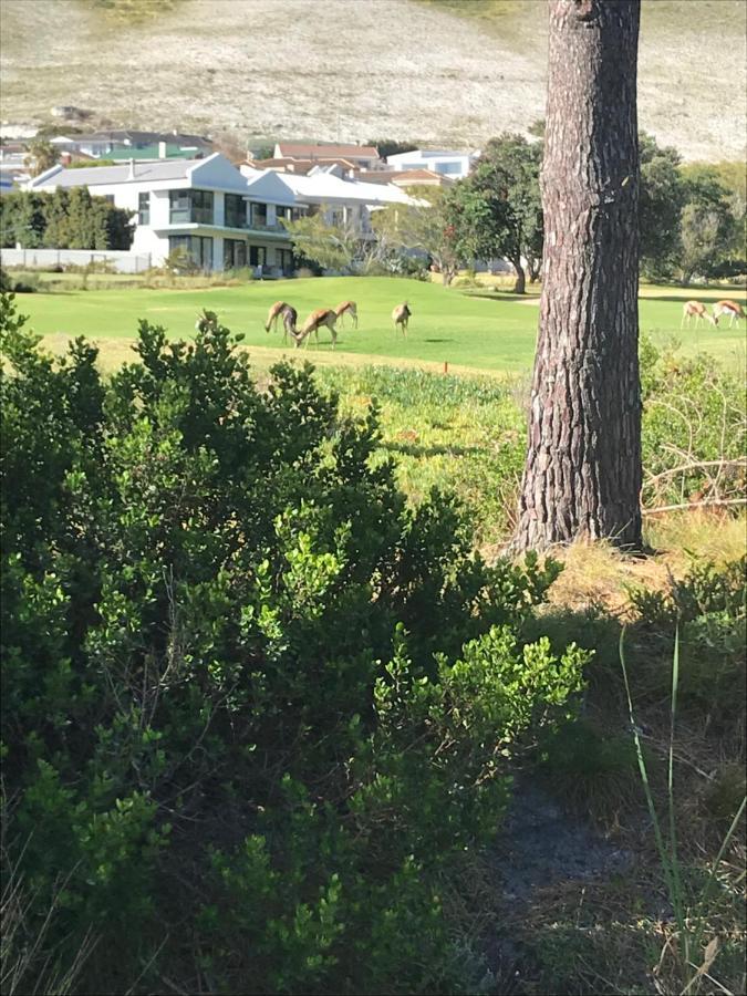 Francolin Manor Bed and Breakfast Hermanus Eksteriør billede